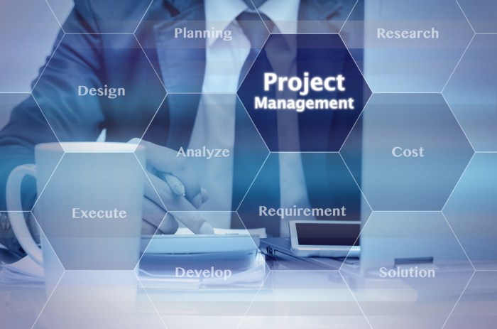 Project Management Techniques