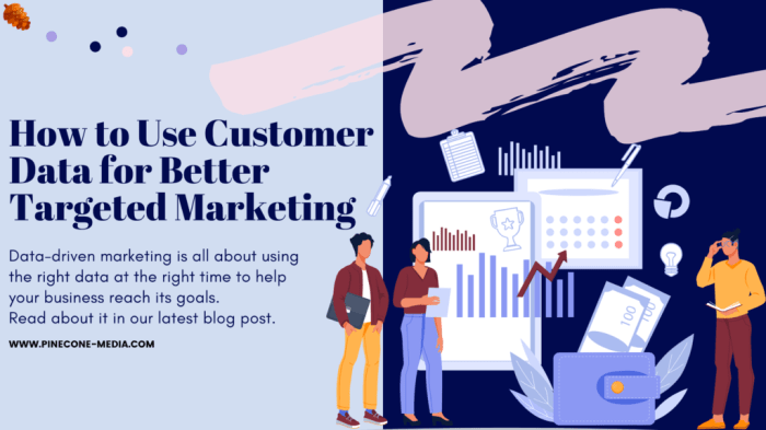 Using Customer Data in Marketing