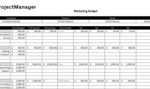 Building a Marketing Budget